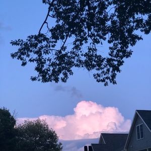 Meet your Posher, Abbigail